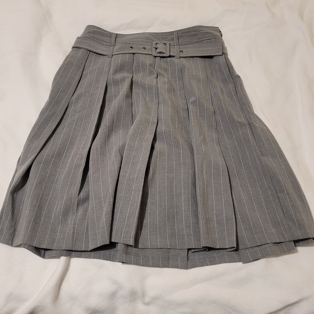 Gray Pinstripe A-Line Pleated Skirt with Belt